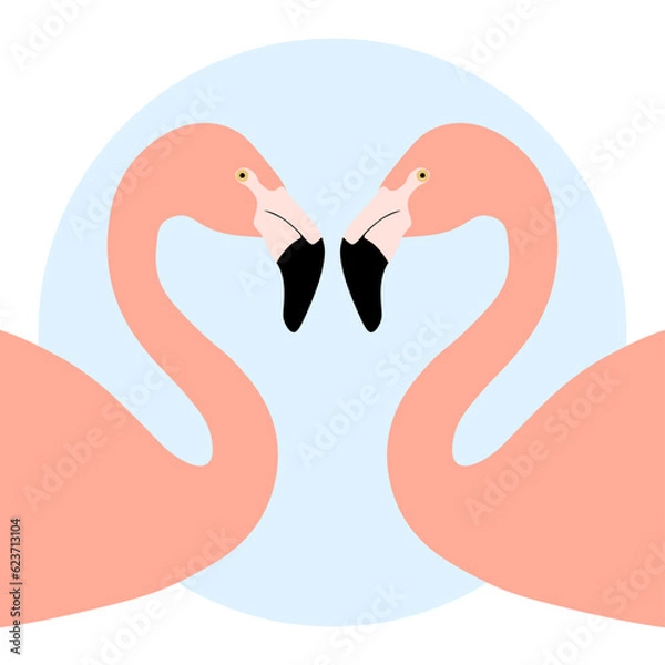 Fototapeta Couple Chilean flamingo characters. Phoenicopterus chilensis isolated on white background. Bird in love who stood up in the shape of a heart. Valentine's Day. Vector illustration.
