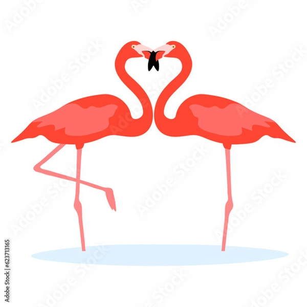 Fototapeta Couple American Caribbean flamingo characters. Phoenicopterus ruber isolated on white background. Bird in love who stood up in the shape of a heart. Valentine's Day. Vector illustration.