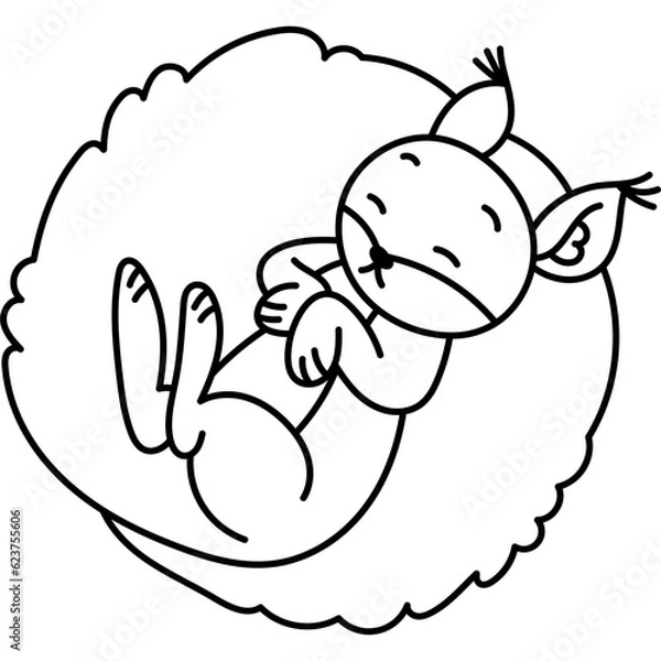 Fototapeta Squirrel Cute Character Coloring page