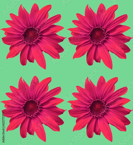 Fototapeta Seamless sunflower pattern 