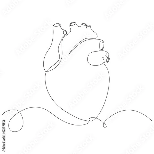 Fototapeta Single continuous line art anatomical human heart silhouette. vector illustration