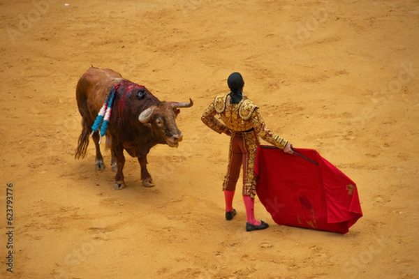 Obraz Bullfighter (Matador) with Bull in Arena