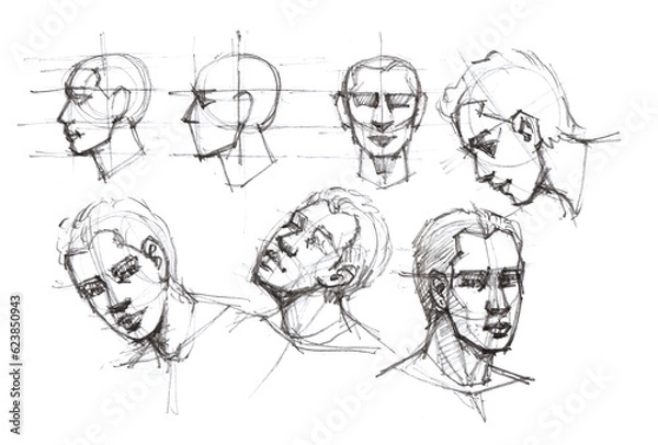 Fototapeta how to portrait drawing pencil drawing for card illustration study 