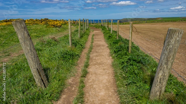 Fototapeta Path through the Fences