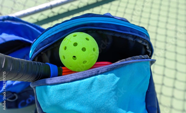Obraz Pickleball in a sports bag with paddle. Court out of focus in background.