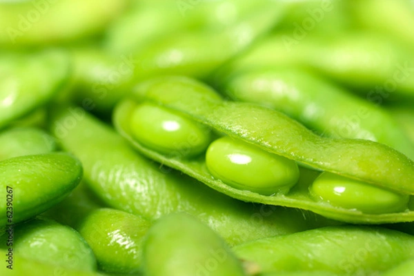 Obraz 枝豆