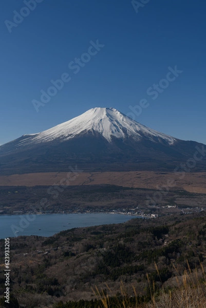 Fototapeta 大平山からみた富士山