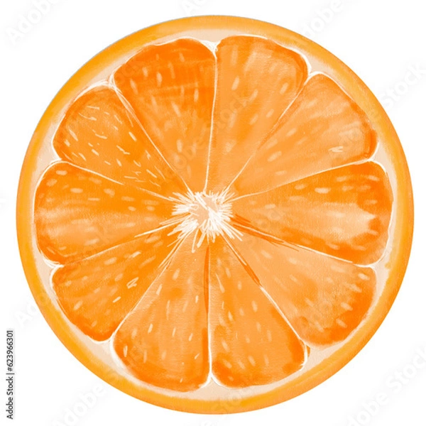 Obraz slice of orange