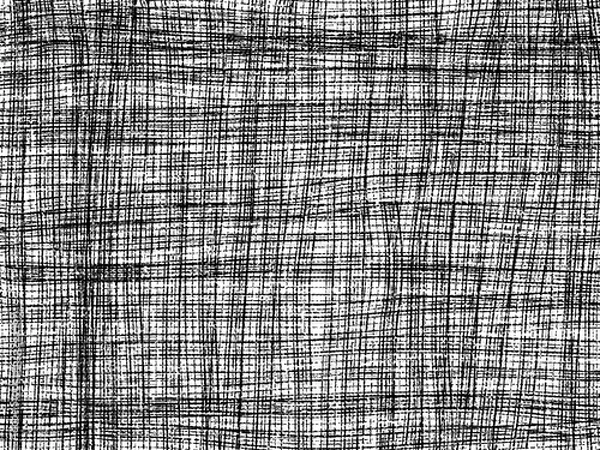 Obraz 細かい縦横線ドローイング　白黒
Drawing fine lines, horizontal and vertical, black and white