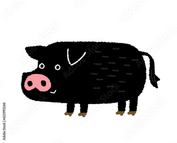 Obraz かわいい黒豚アグーの手描きイラスト