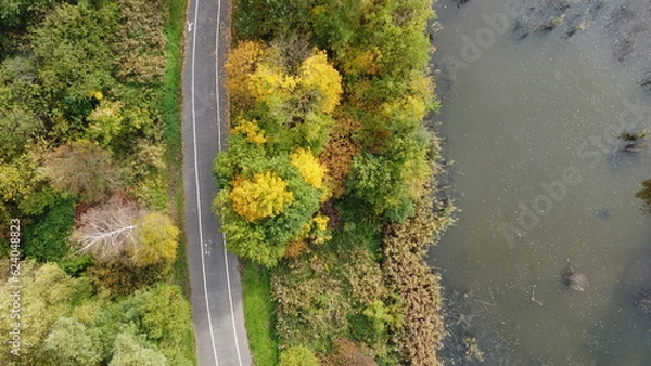 Fototapeta Zdjęcie parku z drona na którym widać drzewa, jezioro i drogę / Park photo from the drone with trees, pond and road