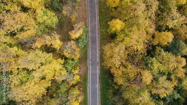 Fototapeta Zdjęcie parkowej alejki i drzew jesienią z drona / Photo of a park alley and autumn trees from a drone