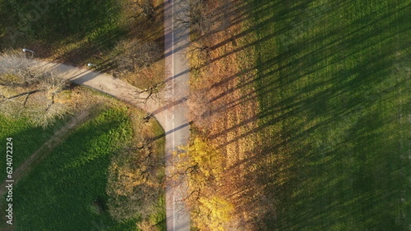 Obraz Zdjęcie parkowej alejki i drzew jesienią z drona / Photo of a park alley and autumn trees from a drone