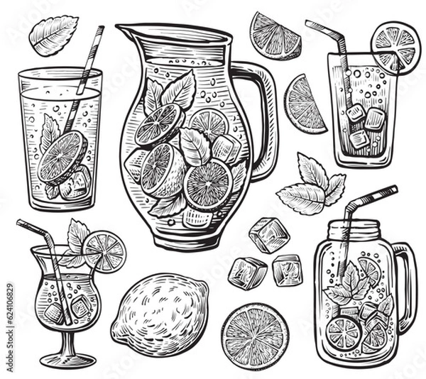 Fototapeta Lemonade vector sketch set. Hand-drawn vintage jug, jar, and glass with lemonade drink.
