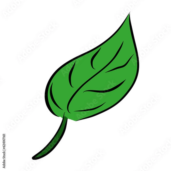 Obraz green leaf isolated on white2