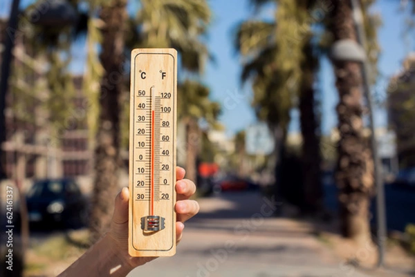 Fototapeta Hot weather. Thermometer in hand in front of street with trees and palms during heatwave. High temperature concept