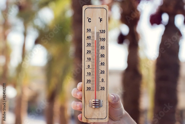 Fototapeta Hot weather. Thermometer in hand in front of street with trees and palms during heatwave. High temperature concept