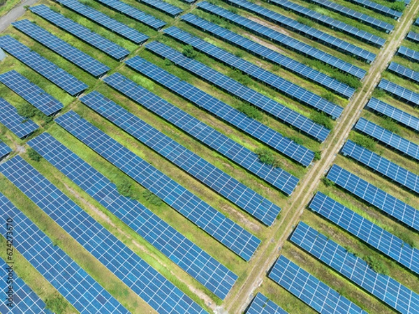 Obraz Aerial view of Solar panels, solar farms