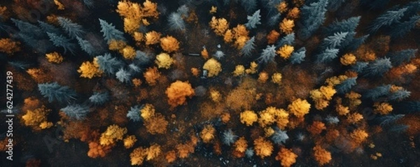 Fototapeta Aerial top drone view from sky to  autumn colorful forest, panorama. Generative Ai.