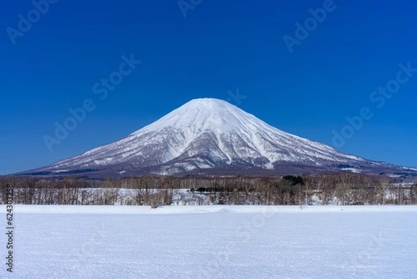 Fototapeta 北海道・喜茂別町 雪原と冬の羊蹄山の風景