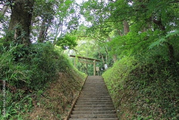 Obraz 香取神宮の境内