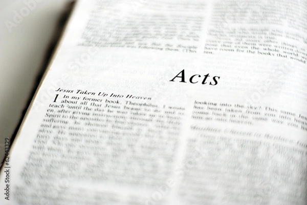 Obraz Księga Dziejów