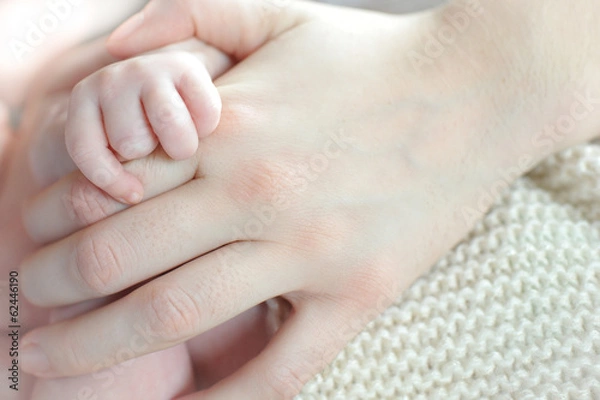 Fototapeta festhalten