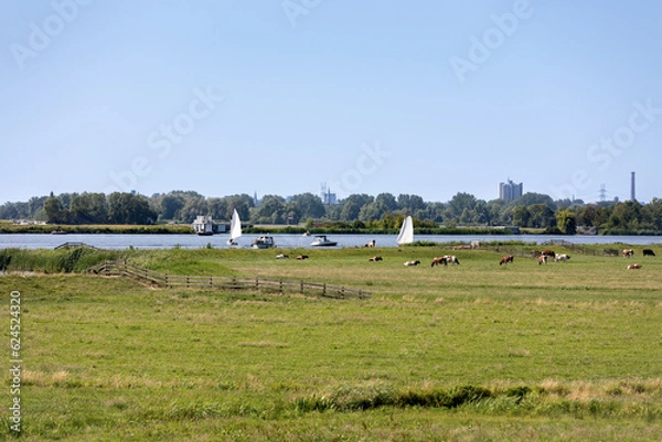 Fototapeta Sailboats on the Kagerplassen (Spriet) with people sailing in the South-Holland village of Warmond in the Netherlands. On a beautiful day with a blue cloudy sky.