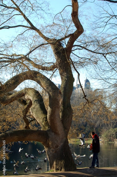 Obraz buttes chaumont