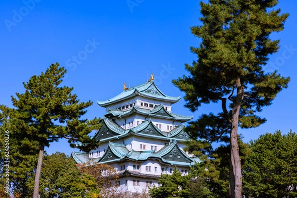 Fototapeta 秋の名古屋城天守閣　愛知県名古屋市