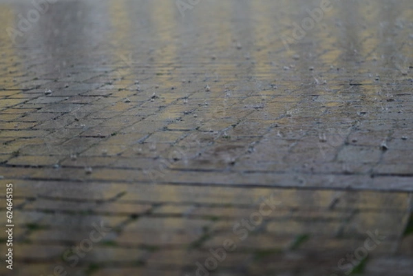 Obraz Rain on pavement as a close up