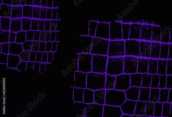 Obraz abstract background