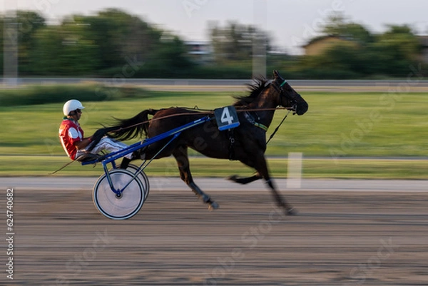 Obraz Trotting racehorses and rider on a stadium track. Competitions for trotting horse racing. Horses compete in harness racing. Horse running on the track with the rider. Motion blur-Panning.
