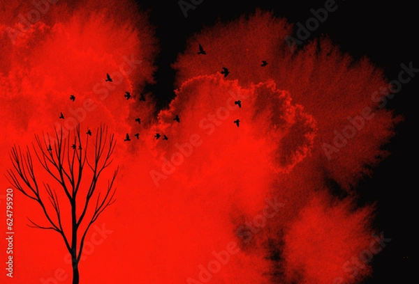 Fototapeta red and black
