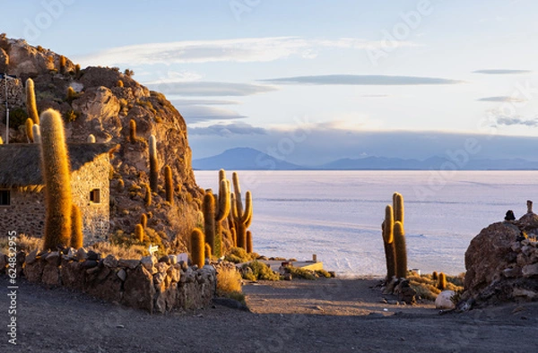 Fototapeta Isla Incahuasi at sunset with view on the biggest salt lake in the world, the Salar de Uyuni in the Bolivian highlands, the Altiplano in South America
