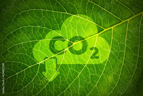 Fototapeta CO2 and Climate change concept on a leaf
