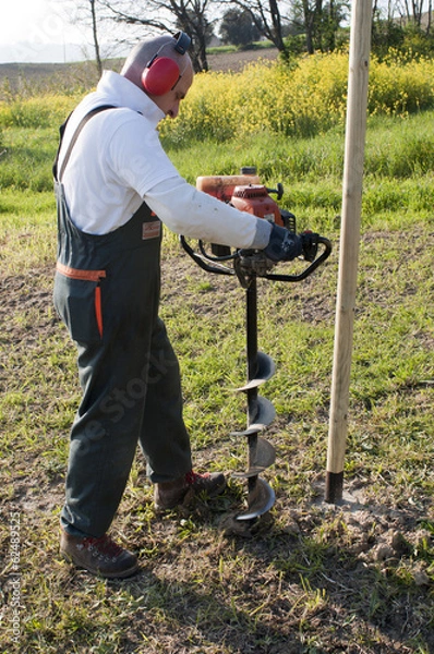 Obraz Agricultural labor