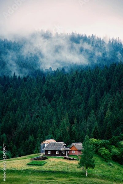 Fototapeta Fog descends into the valley from the height of the mountain through a dense coniferous forest. High quality photo