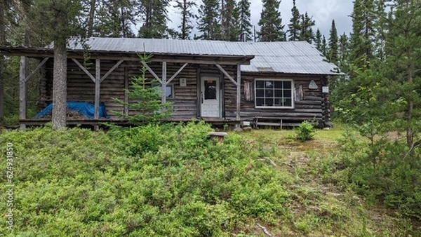 Fototapeta log cabin