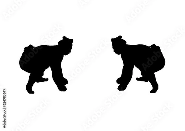 Fototapeta 相撲　取り組みのシルエット