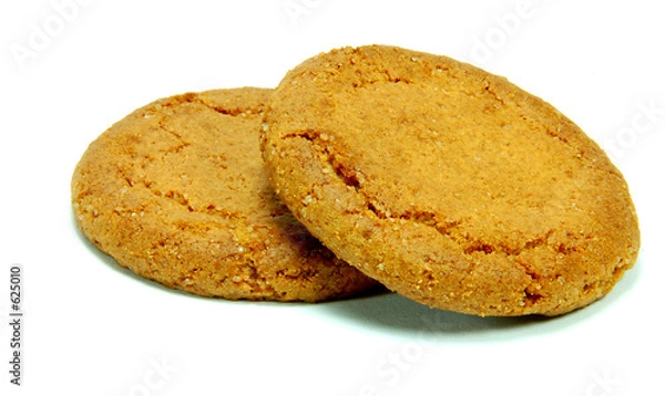 Obraz biscuit 2