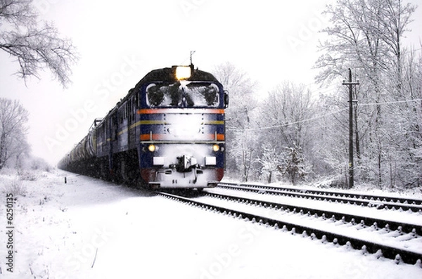Fototapeta Winter train