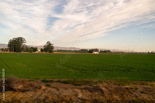Obraz Grass field train landscape