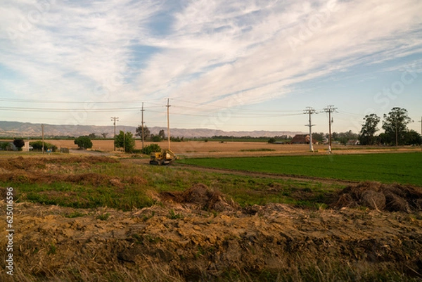Obraz Grass field train landscape