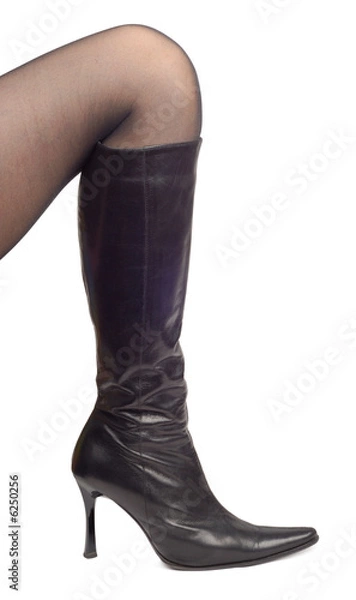 Obraz Woman leg in stocking isolated over white background