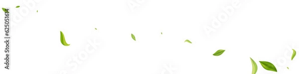 Fototapeta Lime Foliage Flying Vector White Panoramic