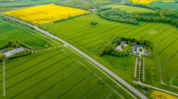 Fototapeta Aerial view, Denmark, Region Syddanmark, Christiansfeld, Agriculture and farms with grain and rapeseed fields,