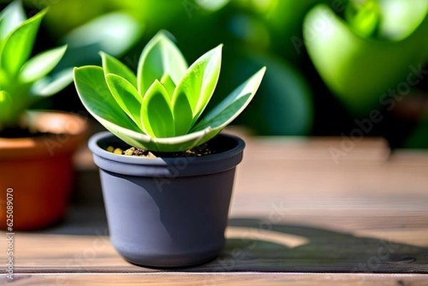 Obraz plant in a pot. Generative AI