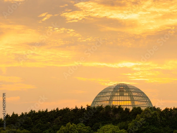 Obraz 夏の夕景、葛西臨海公園の水族館