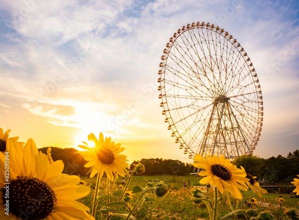 Obraz 夏の夕景、葛西臨海公園_向日葵と観覧車